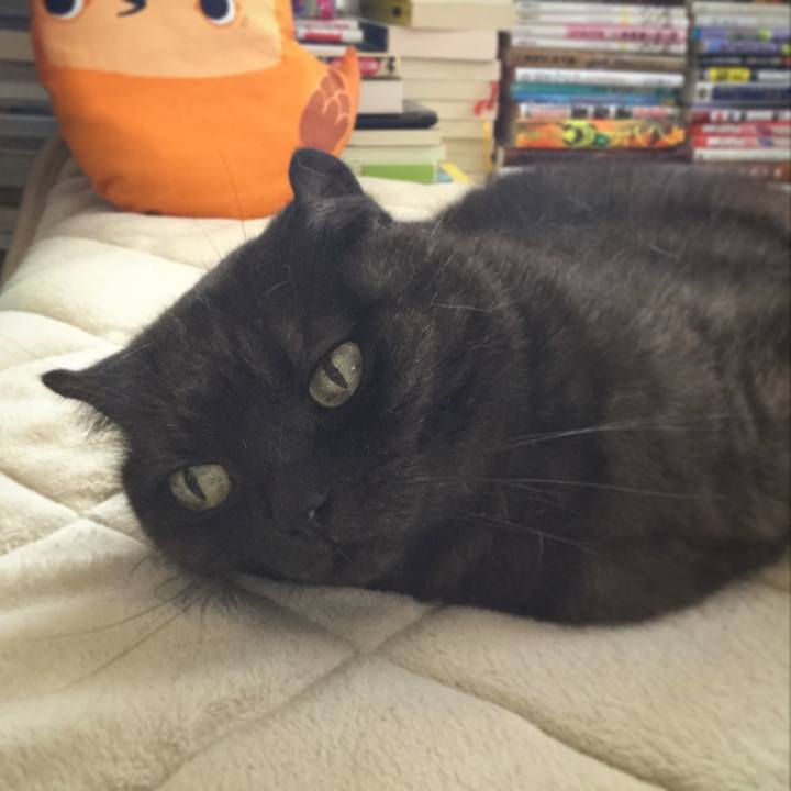 1a2e9169 d1da 439d a54d 69780ed75deb