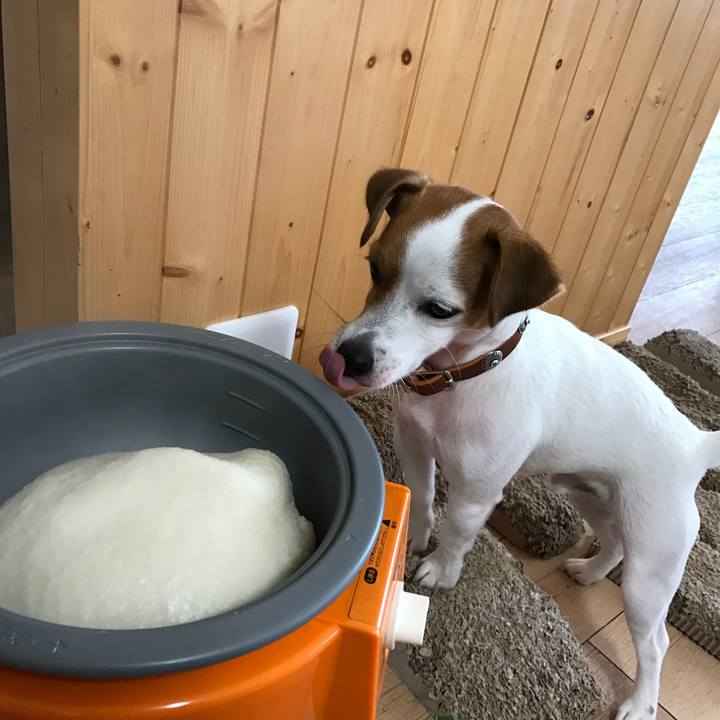 1a2eb0c0 2cb6 4e73 9d6f 31b934a992ac