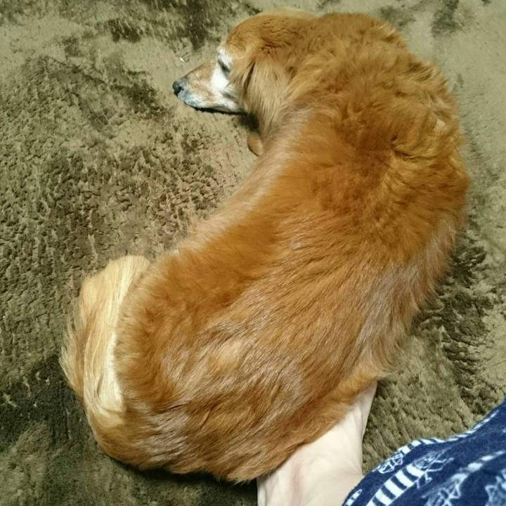 1a2edd63 6449 4700 a505 fb04fd91cda8