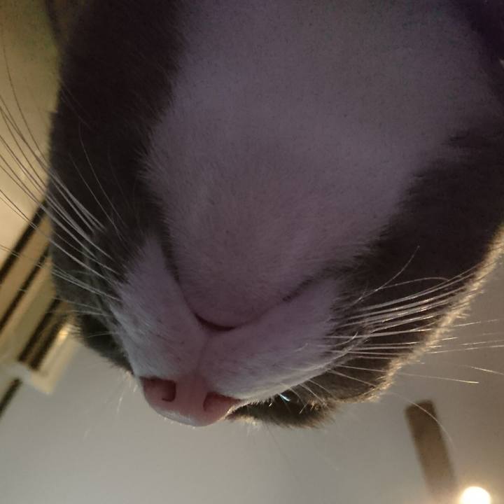 1a2ee50c fe04 46fa 9d34 0530fa7159d6