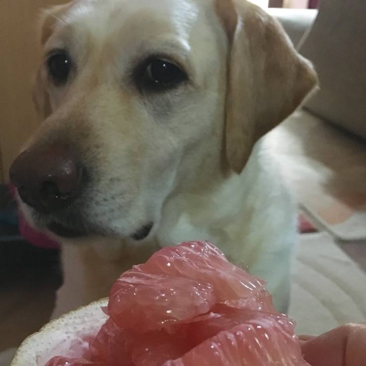 1a2f04e9 b56c 4bf4 8ec8 88ce3eeac24c