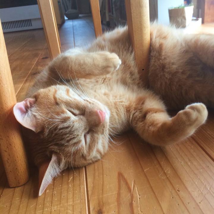 1a2f2bae 9723 4e45 8b41 a4100b5ff133