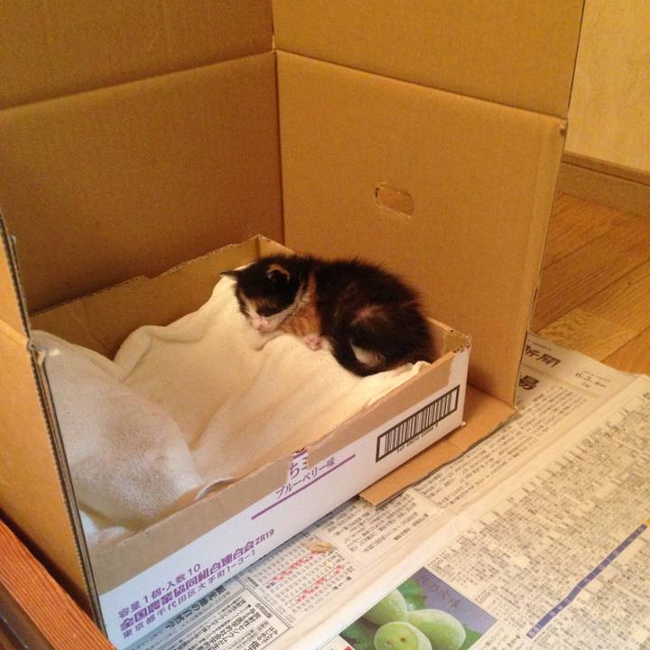 1a2f8f14 355f 4214 ba1a d819badf25cf