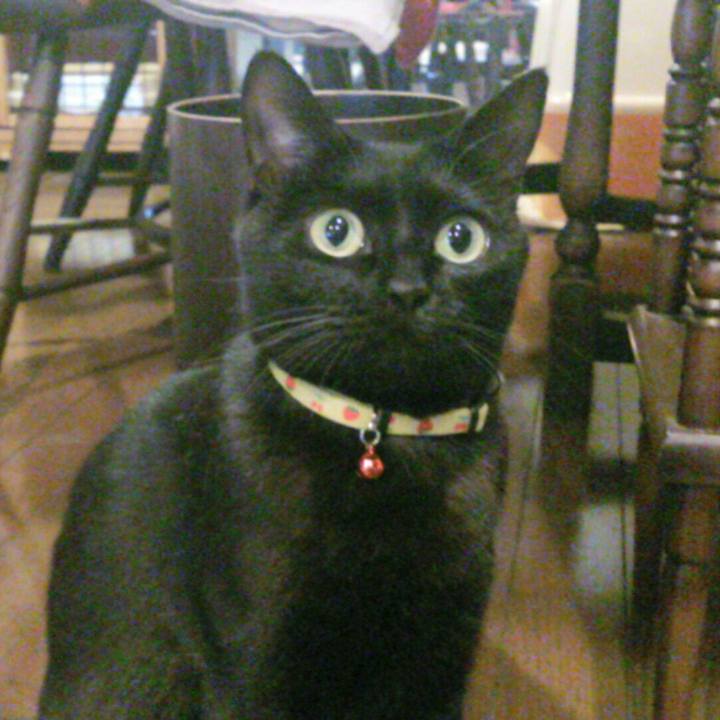 1a2fddbf 2978 4383 9326 2c21683932e1