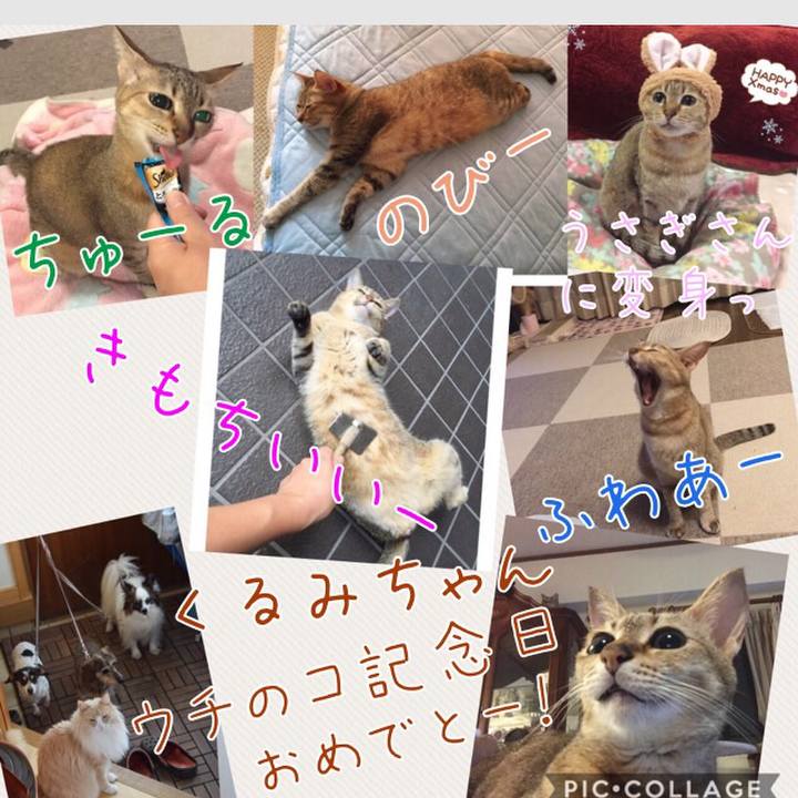 1a3053e3 c7e0 41c5 a22d 6e0e081b9b2a