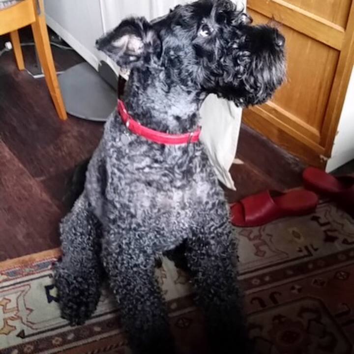 1a3185fe 779e 4b49 89ac 6147c5bdaf3f