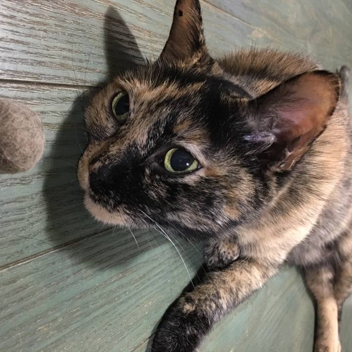 1a319872 a242 47d5 9a49 21fb4783c606