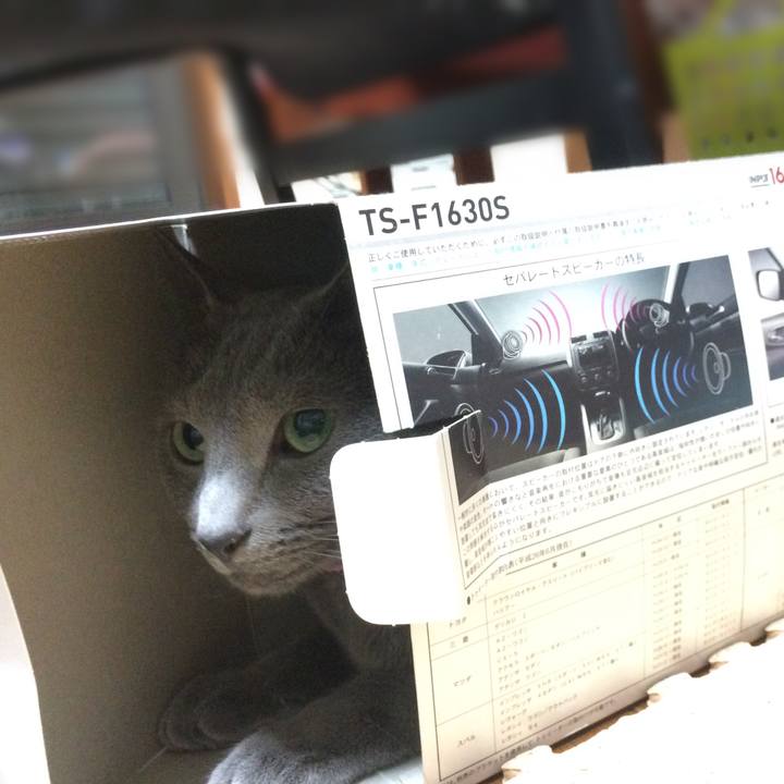 1a324aa6 12fd 4d63 8dae 7c03450a213f