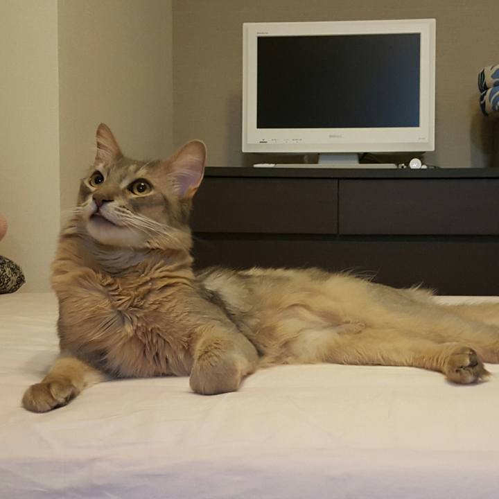 1a328186 156a 4365 8fdc eb1fdfb3f1b5