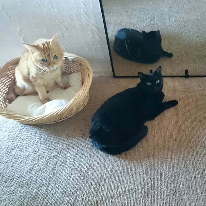 1a32aec8 4d11 4ed8 b1f7 a5e83c551eff