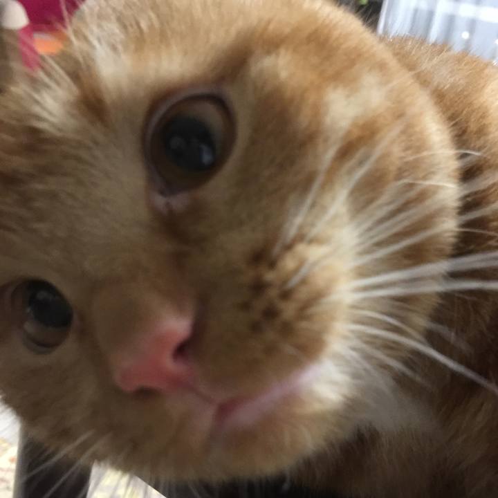 1a332198 4ebc 4282 8c3e 20169361ac91