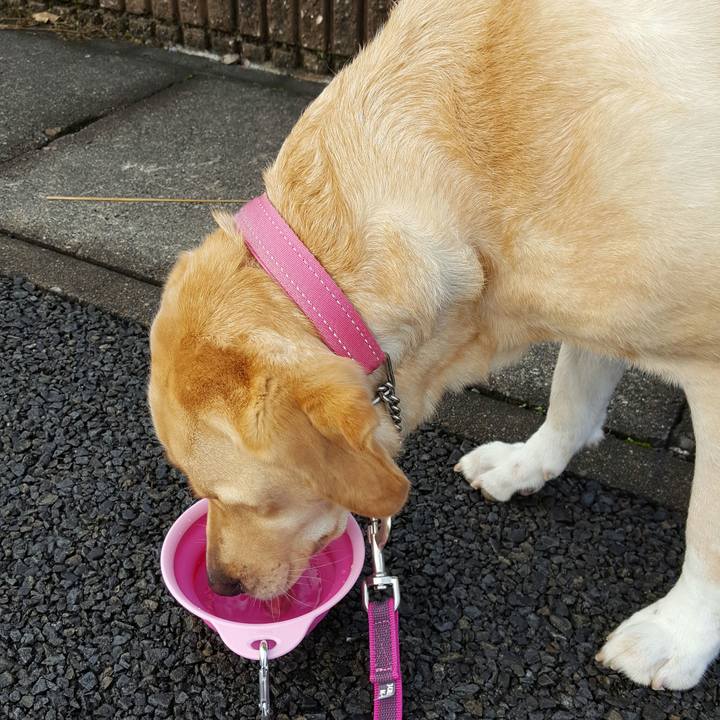 1a332749 327a 4b2c aa74 2f30c405d5bc