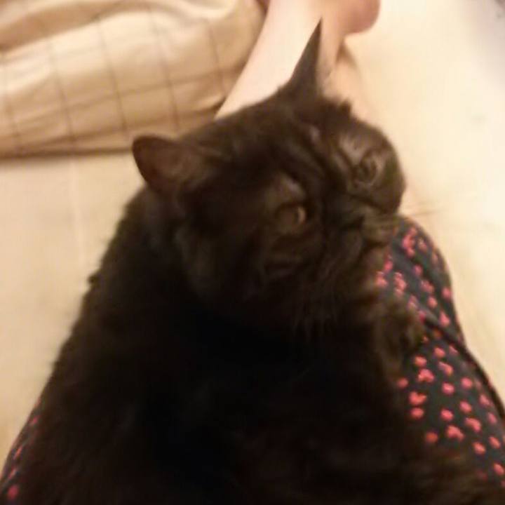 1a334cff 6c9c 4c30 8980 058782061b1c