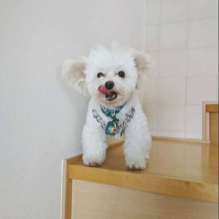 1a3362e9 b395 4a05 9db7 dcde7e30ce89