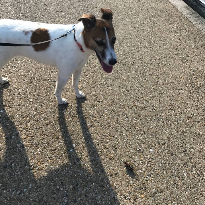 1a33a821 cc8f 4be6 a945 4b2eaf11ef80