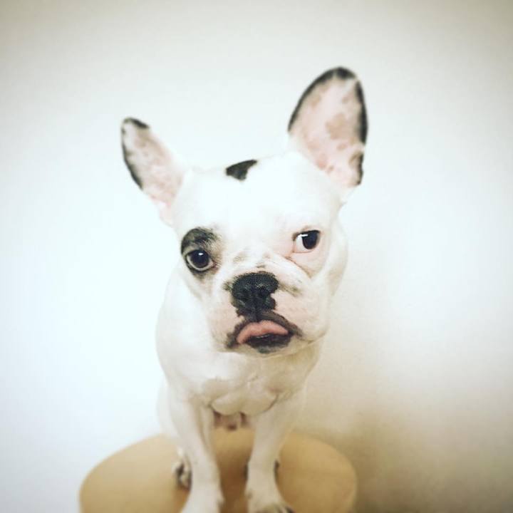 1a340832 9a45 40f9 9633 18303757ab59