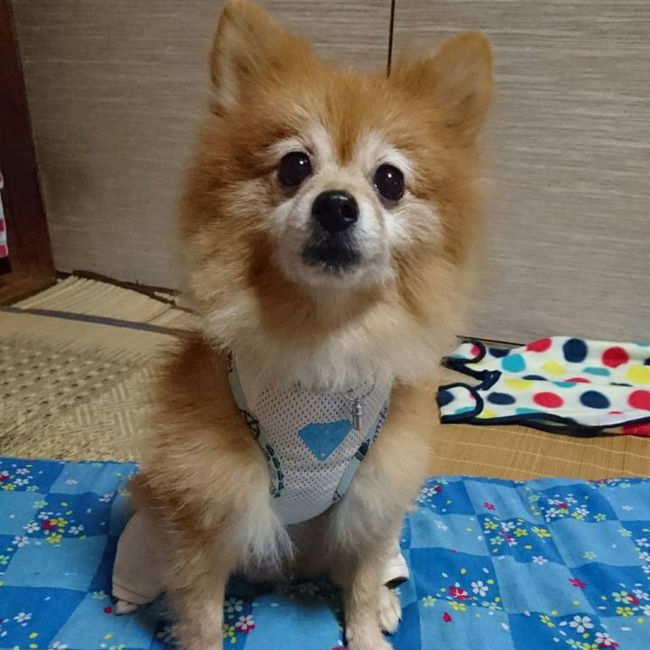 1a341431 44cc 4bca 9a54 efae21de6ac7