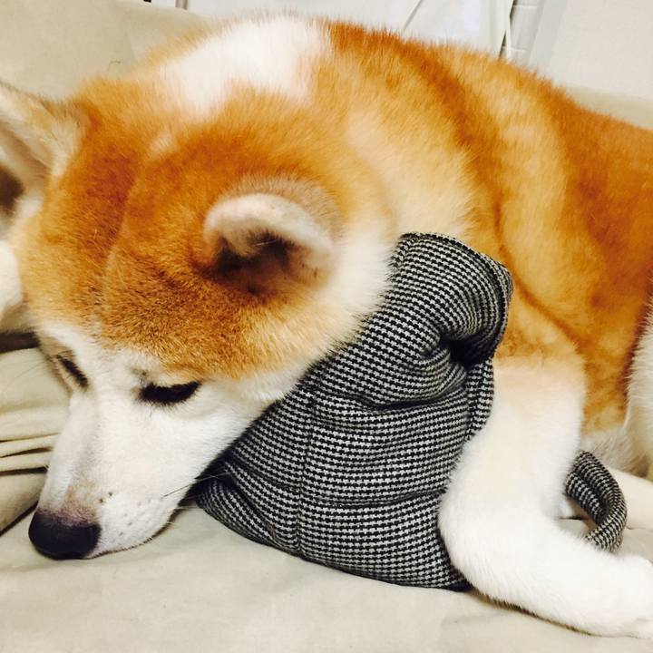 1a343d02 d51c 4dd2 bc2a 11f510991479