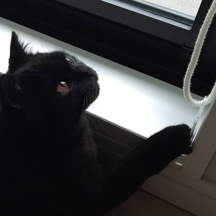 1a34cf64 0f00 467b bedb 033f7a0f9403