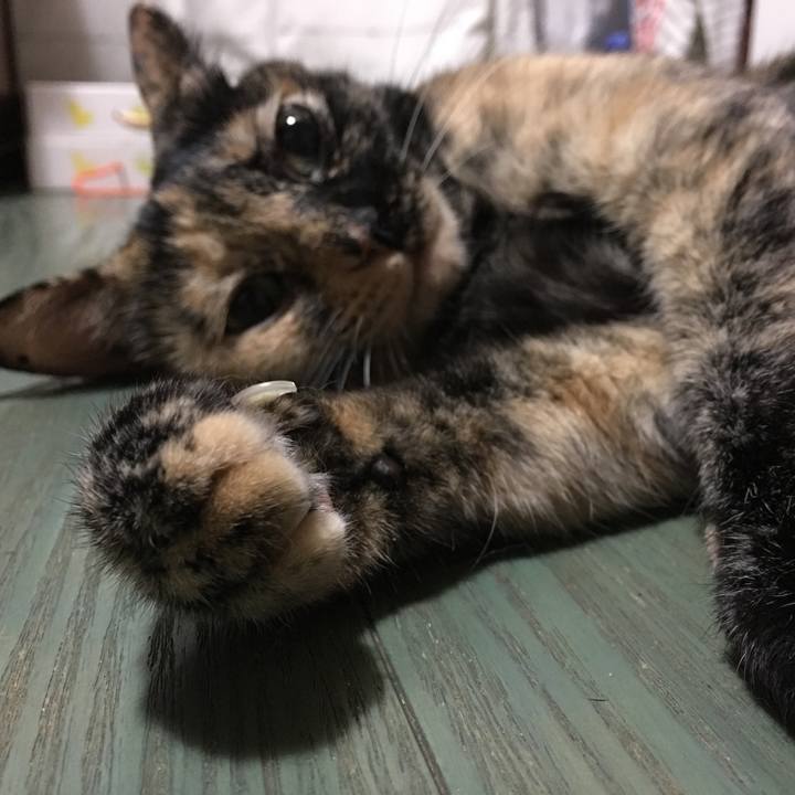 1a350625 04bd 4397 a307 1642dcb1f71a