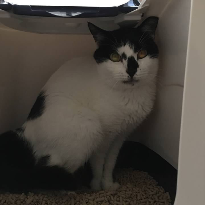 1a35ca2b d4cb 45c4 9448 6dc1420ad8c7