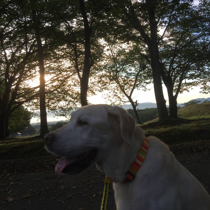 1a35d6e3 e7ab 4dc3 822f b9365a876279