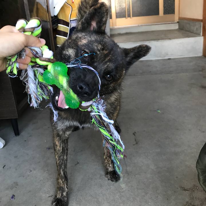 1a36d50b 80d3 49d8 b3c6 0a81abf4fe3c