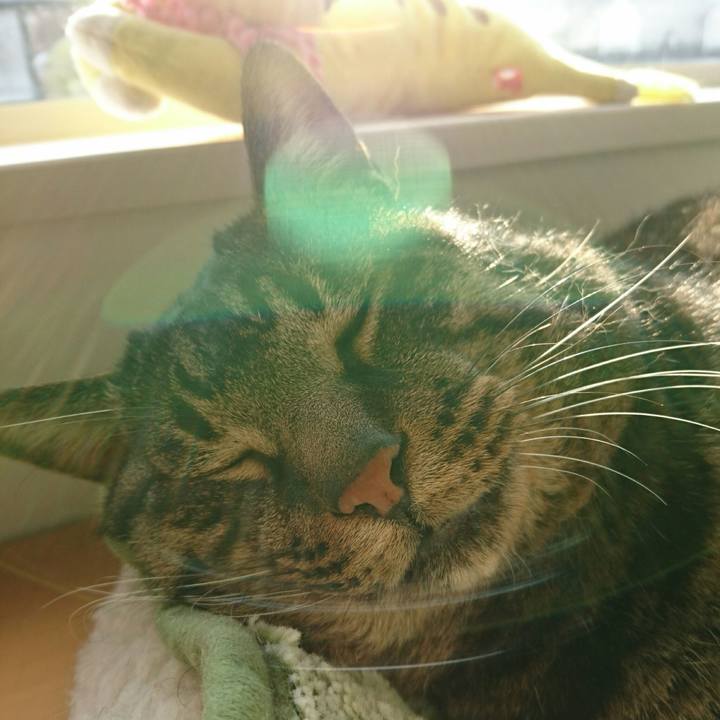 1a37170c 4b05 4c13 a1af 91ac34611a29