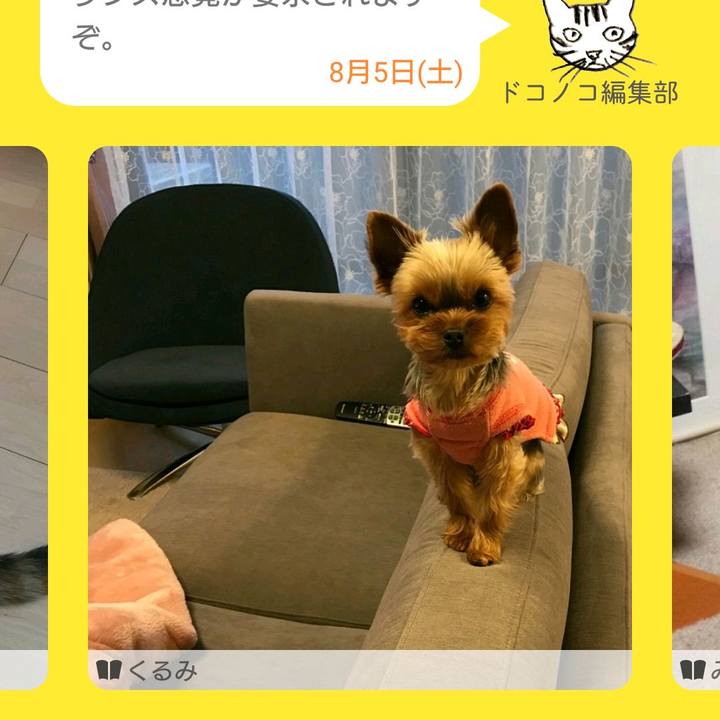 1a373a54 e631 4ad1 a8c2 c9967cf00267