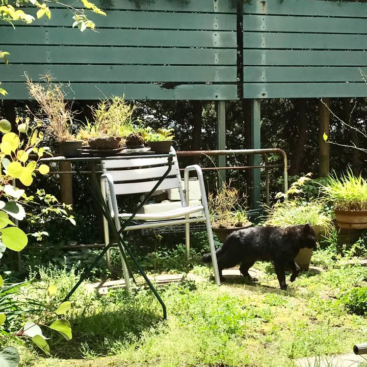 1a374d98 aa01 427d 866d 9f7704b979f6