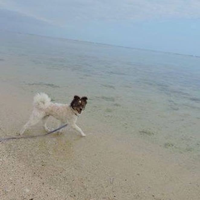 1a377569 a080 4c9e acca c3407430e2bc