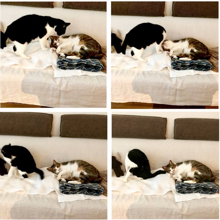 1a377a0f 45a1 4300 a827 5a120c8ad179