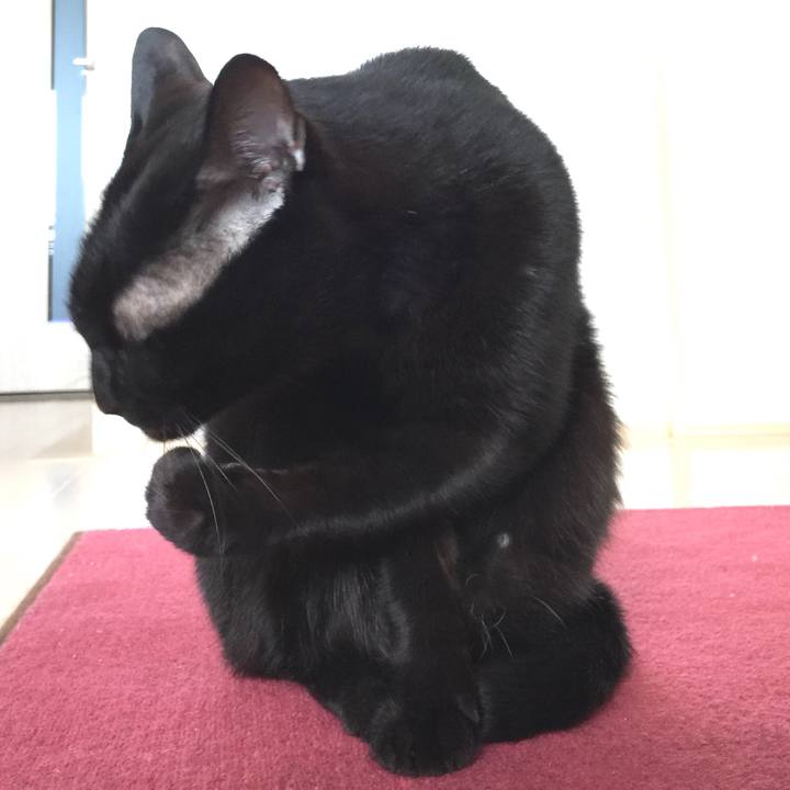 1a378043 d7fe 4291 b22b 738046392937