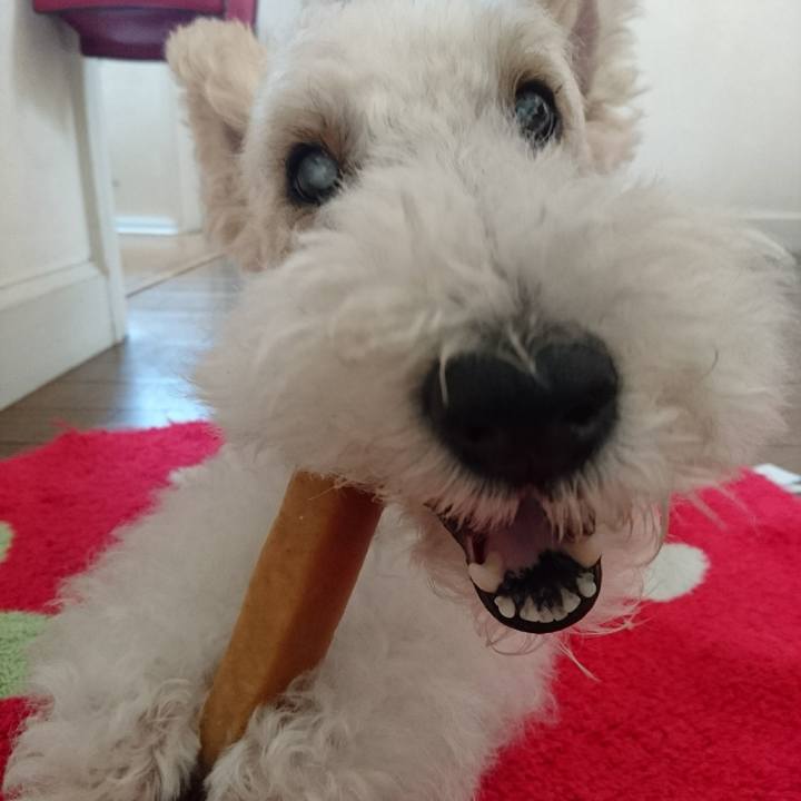 1a37db83 15eb 482d bd56 9682d82b2459