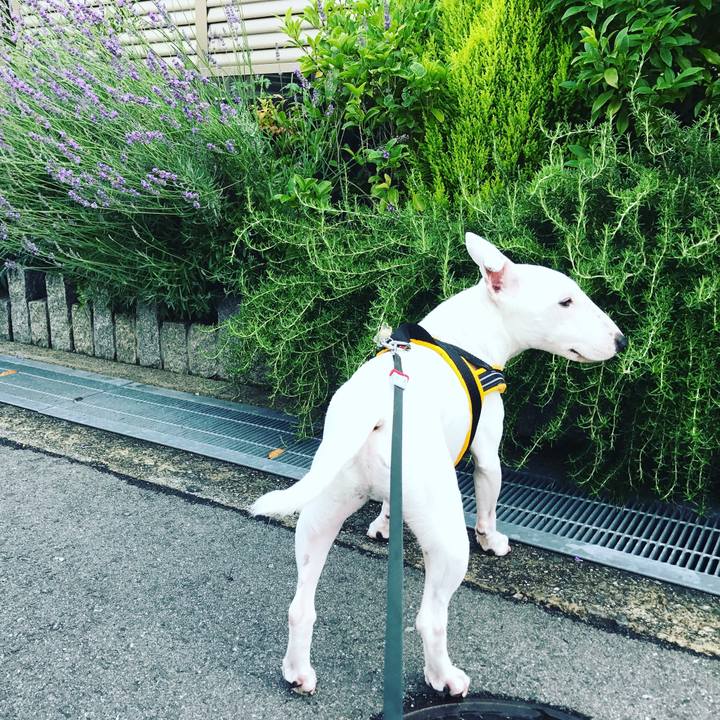 1a37f48c caa3 4156 9fc4 a3f787d40e15