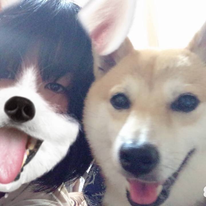 1a385812 3bfc 4da6 a79c 397a0dff34d8