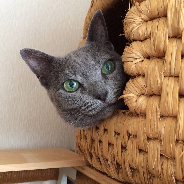 1a38b490 aadd 4258 a007 f50b56cb0c61