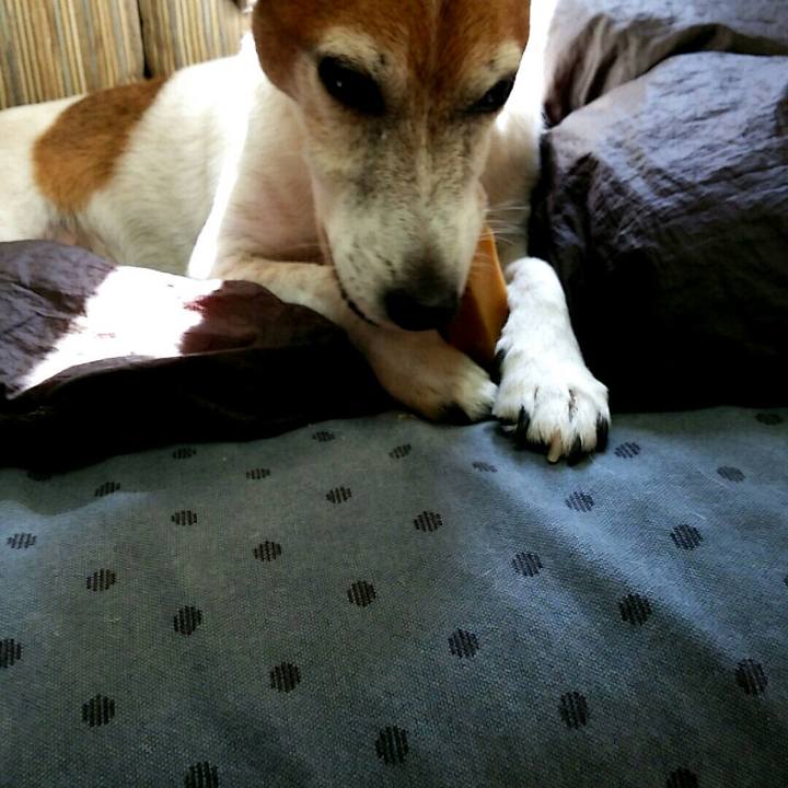 1a391788 8139 46f3 bbc6 075010175d64