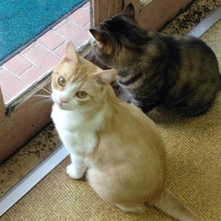 1a395a3b b9d8 489b ad80 1a8d9e37963a