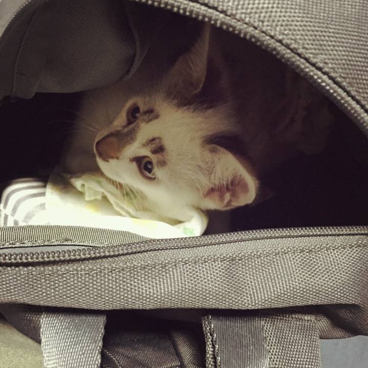 1a39824a 00f9 42d3 9b00 e620c21e19c9