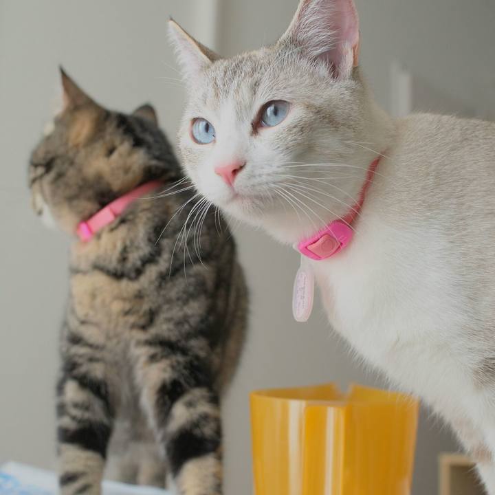 1a39d63e f05e 48e8 9fee bf9981b60781