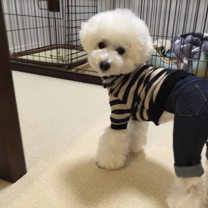 1a3ab1e6 048b 4f91 9de7 5baccd0d8181