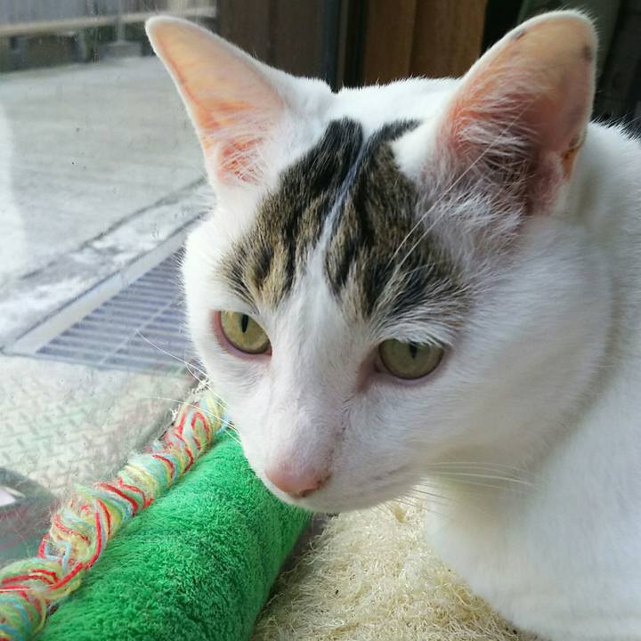 1a3ac8d7 d3b4 4e94 9594 6d62c736c8bb