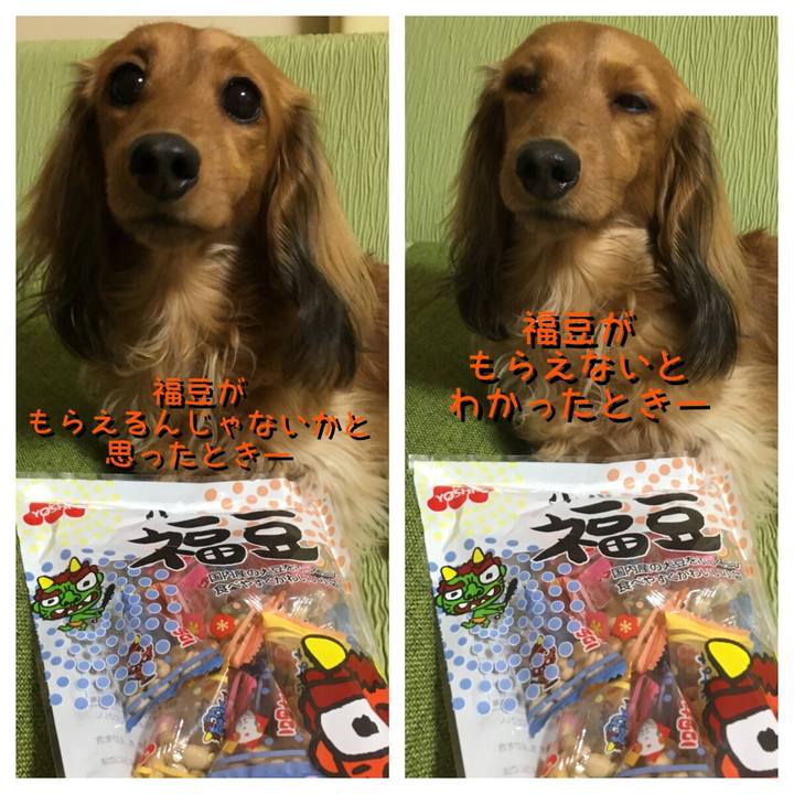 1a3b60a5 696c 4047 850b e197e62d9167