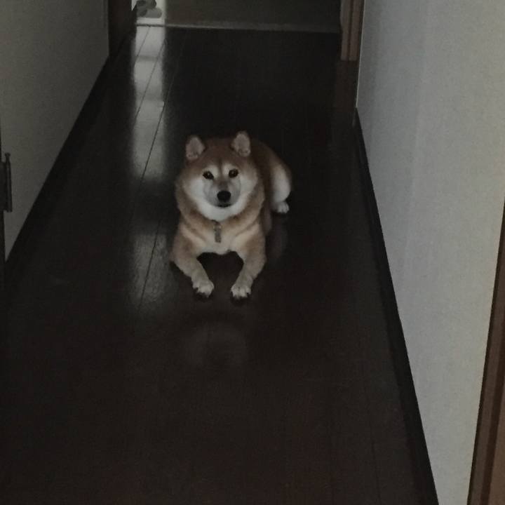 1a3b9003 00a4 4f38 977b eb5bfb2a56c4