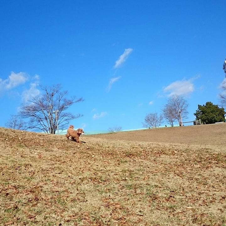 1a3bb92b f3d7 4546 85b3 a2871c95ea77