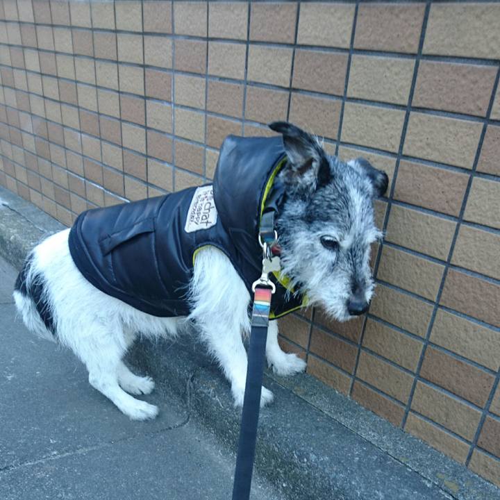 1a3bec0b 132f 45f2 9163 166846325f9e