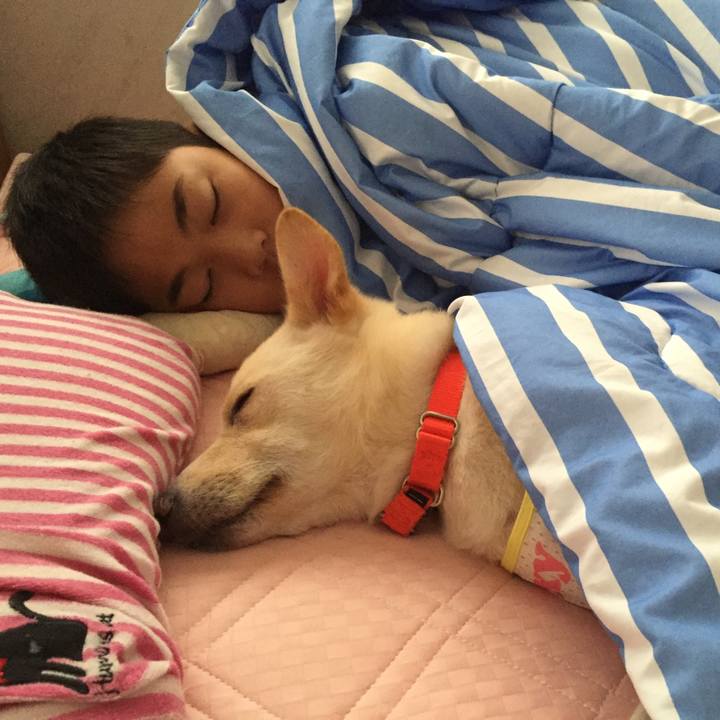 1a3c8357 1948 43c9 b261 64146ff94395