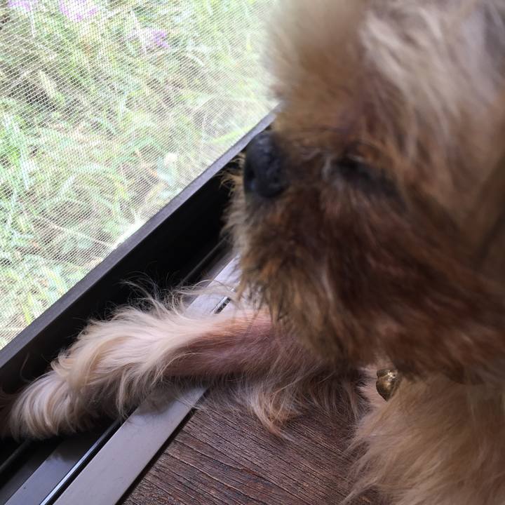 1a3cd5aa aba9 4d11 9f02 8392d8e8f324