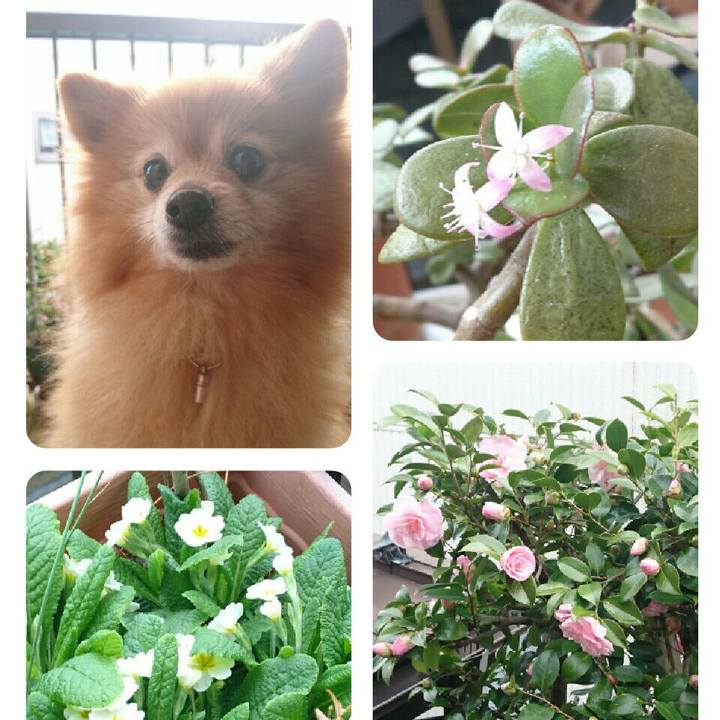 1a3cf8a2 5d0a 46f7 bf4b b17e716c0e92